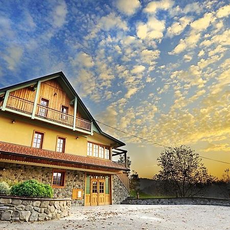 Villa Les With Hot Tub & Sauna Brežice エクステリア 写真